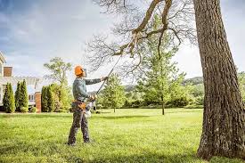 Best Commercial Tree Services  in St Lawrence, PA